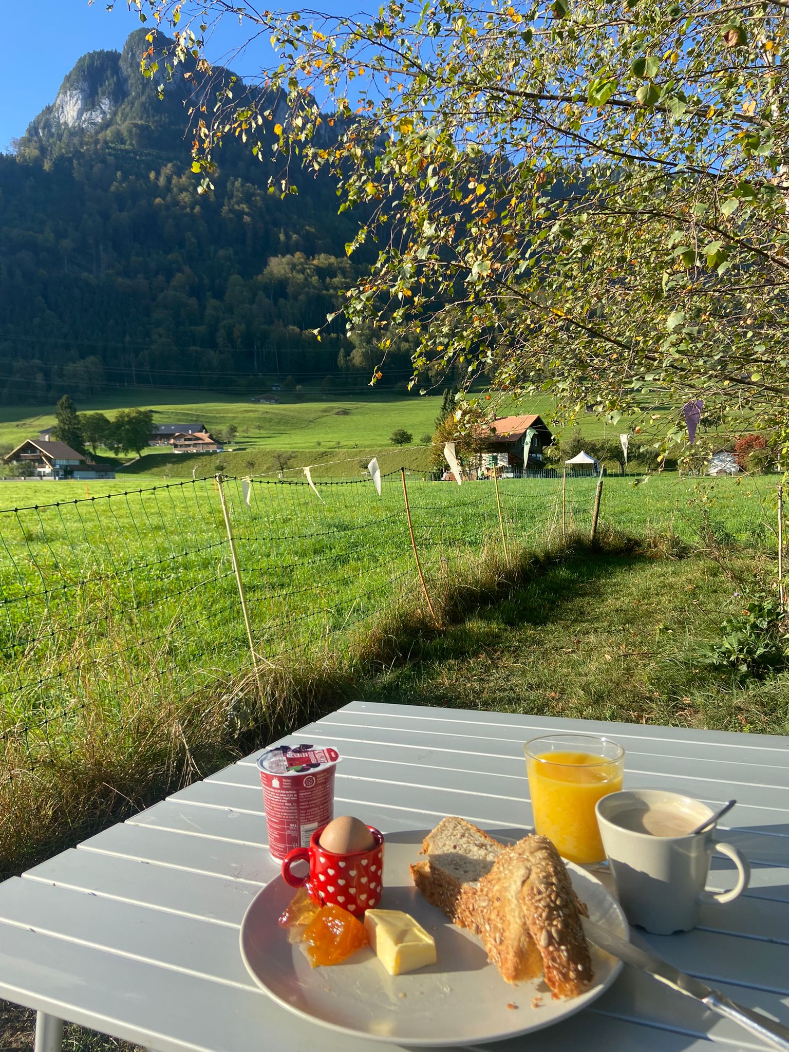 fruehstueck_draussen